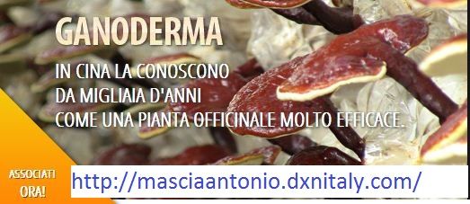 ganoderma.JPG